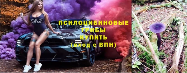 герыч Арсеньев