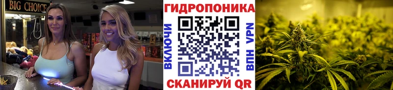 Каннабис Ganja цены Каргат
